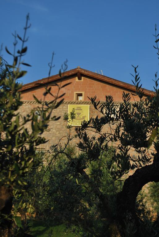 Agriturismo Casale Re Sonnino Экстерьер фото